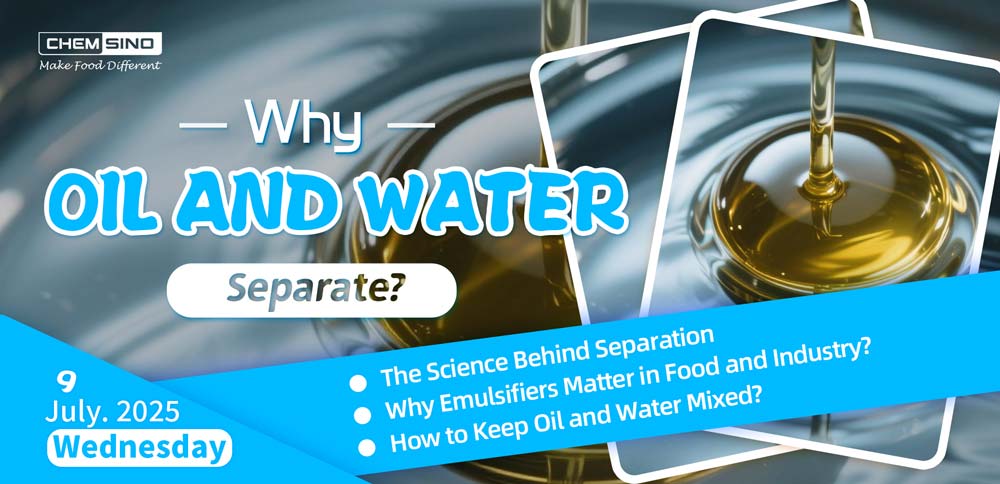 Why Oil and Water Separate
